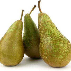 51nTrhlrUaL._AC_SX522_