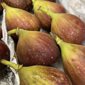 FIGS1