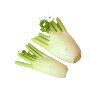 Fennel