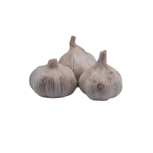 garlic bulbs