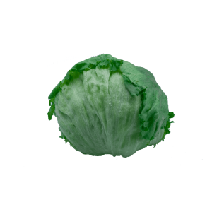 ice burge lettuce