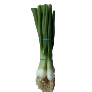 spring onion
